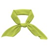 Green Scarf Daphne Lime Green Ascot Neck Silk Scarf Headband