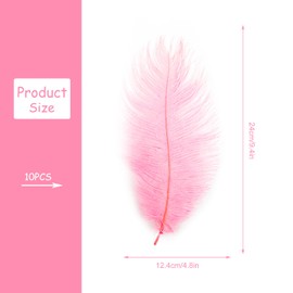Rumyve 10 Ostrich Feather,Natural Ostrich White Feather DIY Crafts Table Vase for Family Wedding Holiday Decoration(Pink)
