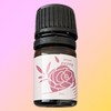 1 Delicare Peony Feminine Cleanser 3ml / 1개 델리케어 피오니 여성청결제 3ml