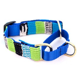 A Tail We Could Wag Martingale Style Dog Collar - Laguna Brava (Large 18-25")
