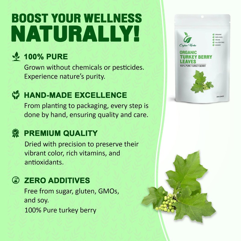 100g Turkey Berry Leaves r - Healthy, Well-Cleaned, Dried Organic