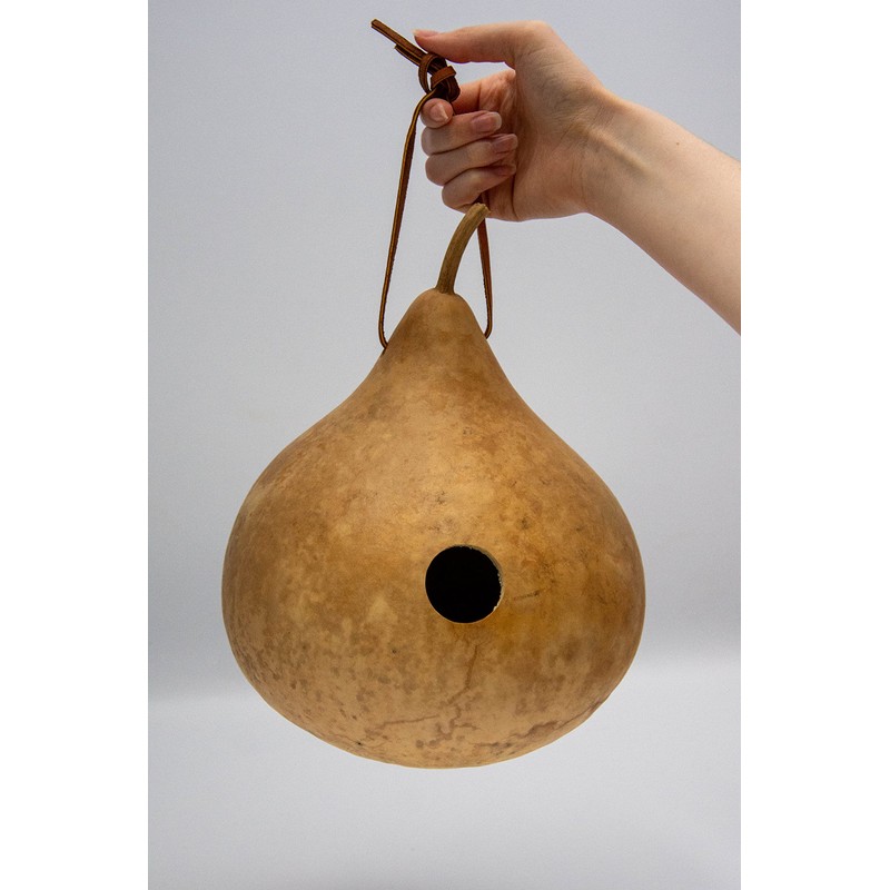 Gourdaments Gourd Birdhouse, Unfinished, Craft Ready, Box of 3