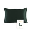 townssilk Both Side 100% 19mm Silk Pillowcase Queen Size Pillow