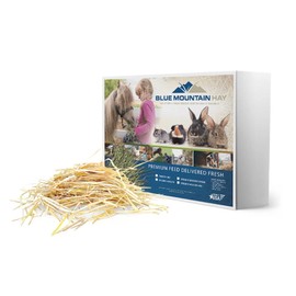 Blue Mountain Hay Organic Bedding Straw (10lb) Natural Animal Bedding Straw for Guinea Pigs, Chinchillas, Rabbits, Hamsters, Chickens, Feral Cats & Chicken Coops | Pet Bedding Straw | Pet Shelters