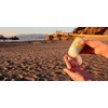 humangear GoToob+ Refillable Silicone Travel Size Bottles with Locking Cap,