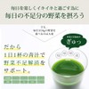 Yamada Green Juice Powder Stick 3g x 90 Packs Green