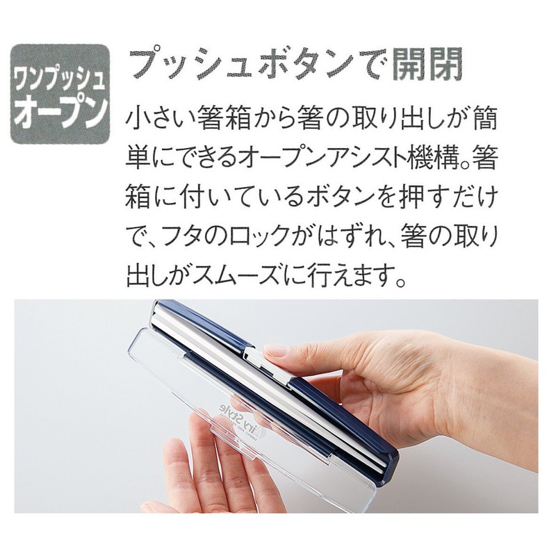 岩崎工業 抗菌 箸箱セット19.5CM H-581 W