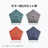 AMVEL A1555 Pentagon67 Folding Umbrella, World's Lightest Grade, 2.3 oz