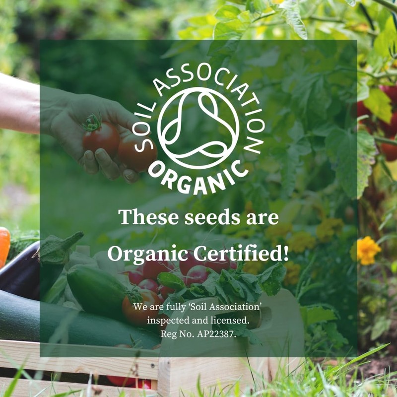 PREMIER SEEDS DIRECT - Organic Flyaway F1 Carrot Seeds, Approx