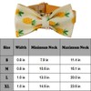 Love Dream Dog Collar with Bow Tie, Soft and Comfy