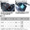 Daiwa (ダイワ) Light SW X IC SS L Bait Reel
