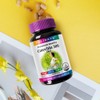 Holidays Diet Catechin 300 1 bottle 60 tablets / 홀리데이즈