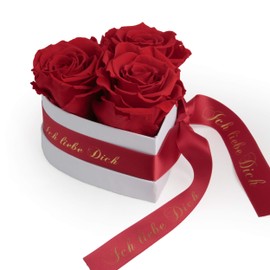 Rosemarie Schulz Heidelberg Infinity Rose Box in Heart Shape with Preserved Roses in Red Valentine's Day Gift