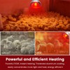 DaToo Infrared Heat Lamp Bulb for Chickens Red Heat Lamp