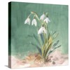 ART.COM Stretched Canvas Print Soft Dewdrops by Danhui Nai, 16"