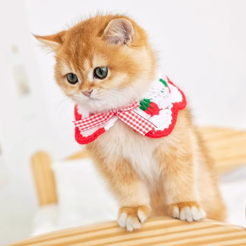 OuryTech Cat Collar, Cat Collar and Safety Collar, Breakaway Kitten