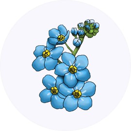 24 x 40mm Round 'Forget Me Nots' Stickers (SK00037612)