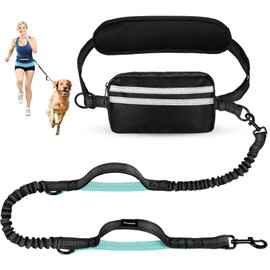 Yicostar Hands Free Dog Leash, Retractable Bungee with Double Padded Handles, Waist Leash for Dog Walking, Heavy Duty Dog Leash for Medium & Large Dog, Dog Walking Accessories Mint-Green