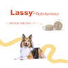 HOLLAND Lassy Multivitamínico 30 Tabs