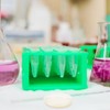 Agar Plates Petri Dishes: 10PCS Science Petri Dishes Petri Nutrient