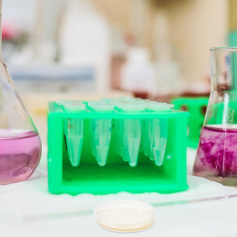 Agar Plates Petri Dishes: 10PCS Science Petri Dishes Petri Nutrient