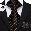 Barry.Wang Corbata clásica de seda para hombre, corbata de regalo