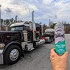 Bullsnot! WaxABull Accelerated Detail Auto Wax 10899009 - Quick Shine