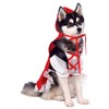 Rubie's Red Riding Hood Pet Costume, Large