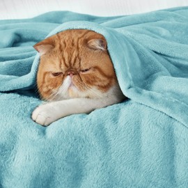 BEDSURE Cuddly Fluffy Blanket Fleece Blanket - Warm Winter Soft Sofa Blanket Small Blanket Couch Blanket Living & Cuddly Blankets Children 130 x 150 cm, Blue