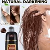 Champú para teñir el cabello 3 en 1 para cabello