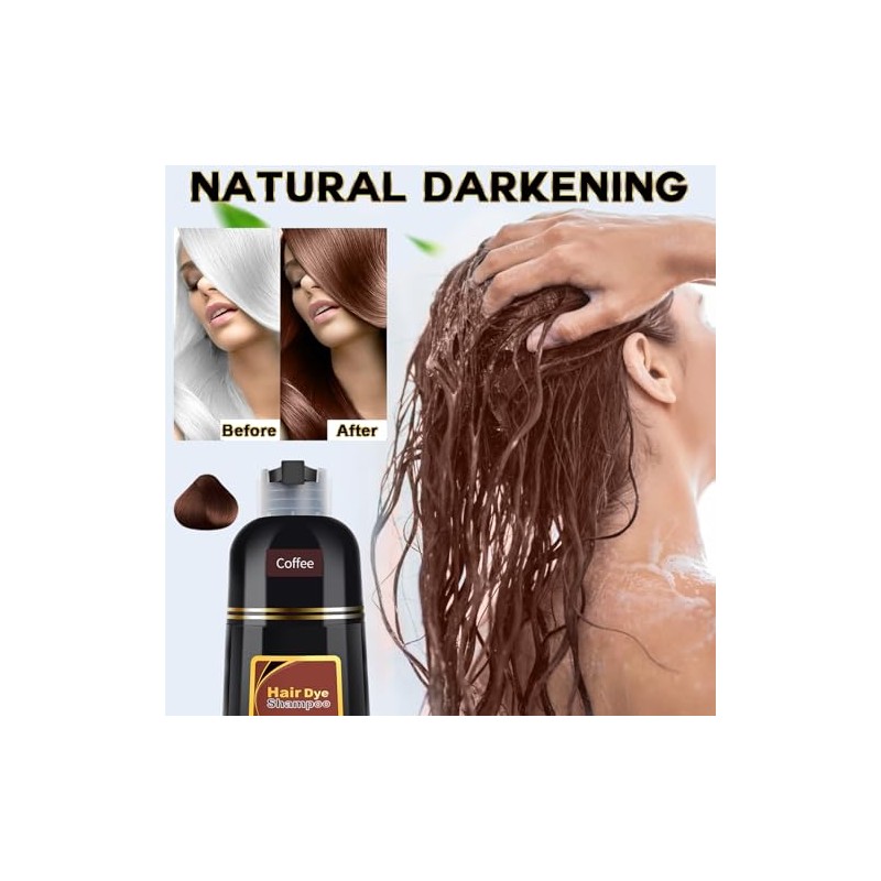 Champú para teñir el cabello 3 en 1 para cabello