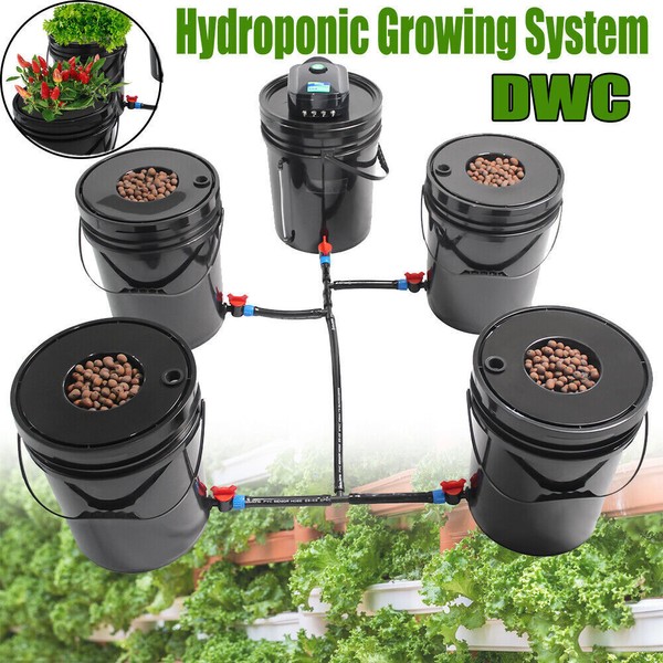 5 Bucket 5 Gal DWC Hydroponics Grow System w/ Top
