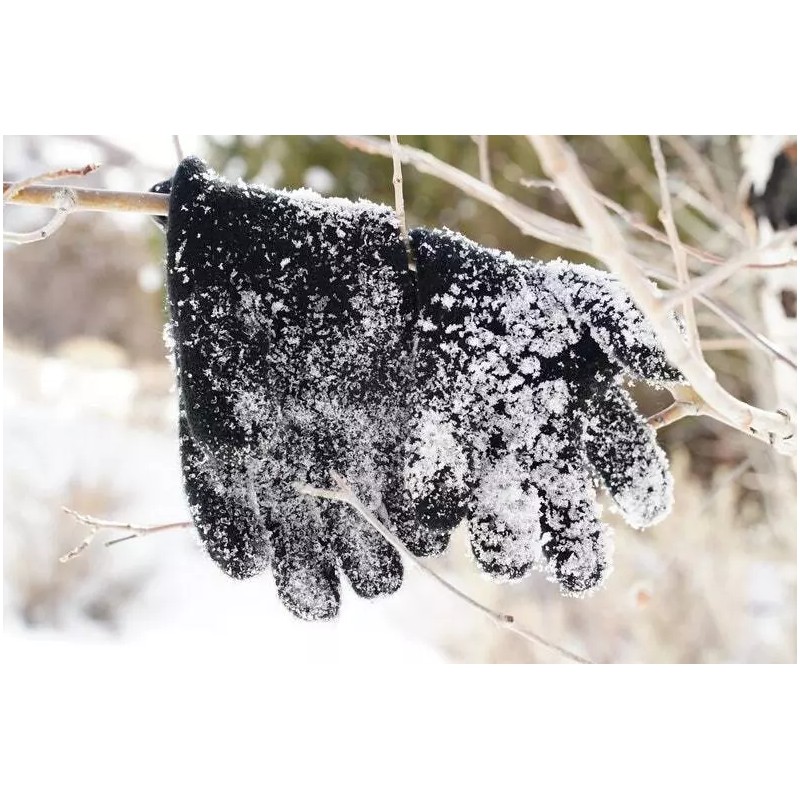 tittimitti 100% Virgin Wool Men's & Women's Gloves with Genuine