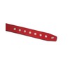 Lowlife Sphere Leather Belt in Red