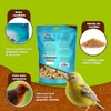 MEZCLA DE SEMILLAS P/CANARIOS Y FINCHES 500 G