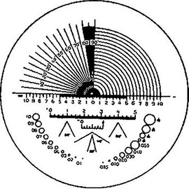 ESCHENBACH OPTIK GMBH & CO. 115203 Precision Scale 203 for Scale Magnifier for 851494/495 ESCHENBACH