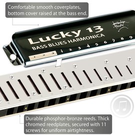 East top Lucky 13 Bass Plus Blues Harmonica 13 Holes Diatonic Harp Mouth Organ Professional Richter harmonica C key for Adults