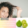 NEW Fermented Rice Water for Hair Growth - Infused with