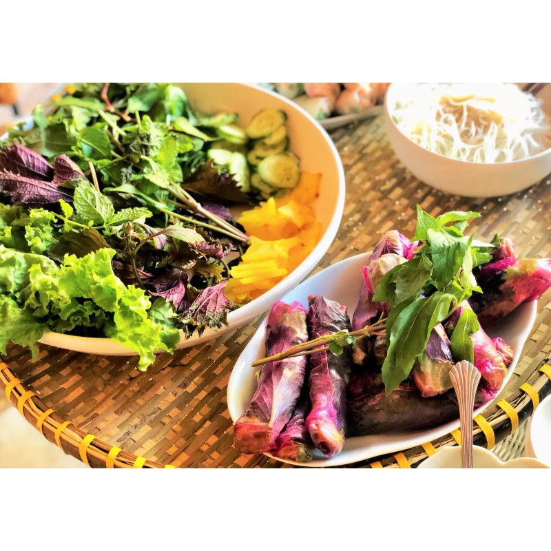 TomorrowSeeds Vietnamese Perilla (Shiso) Seeds | La Tía Tô Asian