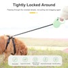 Retractable Lead for Dogs, 5 m Retractable Dog Lead with