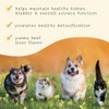 Bark Whiskers Bladder Support, 3.17 Oz. (90 G), 90 Scoops,