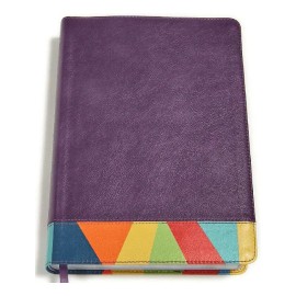 Biblia De Estudio Arcoiris Rvr1960 Imitación Piel Multicolor