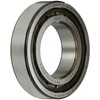 SKF Cylindrical Radial Roller Bearing, 50 ID, Bearing steel