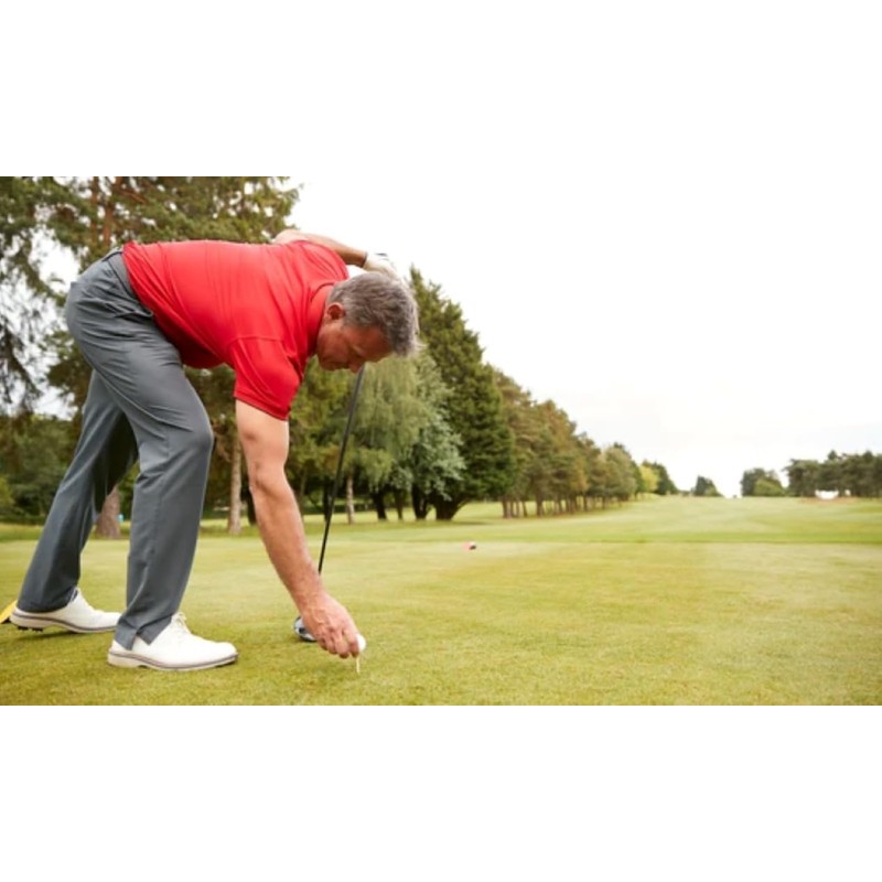 Generic Generic Performance Protein Powder, micronized with Super Enzyme Hydrolase