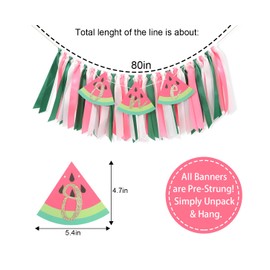 One In A Melon High chair Banner - Watermelon 1st Birthday Decorations,Watermelon First One Highchair,Girl 1st One In A Melon Party Decoration