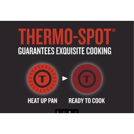 Tefal B3010272 Extra-20cm Omelette Pan, Aluminium, Black, 20 cm