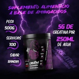 Creatina Monohidratada 500g En Polvo Panther Protein Sabores                                                                                          