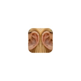 Ear Cuffs Non Piercing Ear Cuff Earrings for Women Hypoallergenic Clip on Fake Earring Ear Wrap Cartilage Earrings Cute Jewelry Trendy Stuff Stocking Stuffers