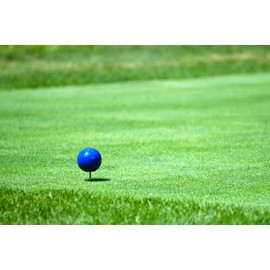 Golf City Products Golf Tee Markers Tee Box Marker Ideal for Your Backyard Practice Putting Green (Green) Set of 2