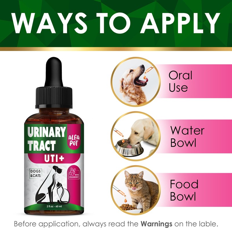 Сat Urinary Tract Infection Treatment with Cranberry – Dog UTI